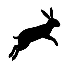 Jumping Rabbit: The Agile and Adorable Hopper