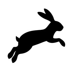 Jumping Rabbit: The Agile and Adorable Hopper