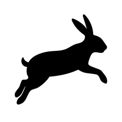 Jumping Rabbit: The Agile and Adorable Hopper