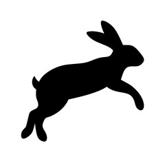 Jumping Rabbit: The Agile and Adorable Hopper