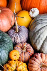 Different pumpkins in warm tones captured in close-up fall composition. Cozy still life with autumn...