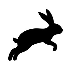 Jumping Rabbit: The Agile and Adorable Hopper