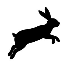 Jumping Rabbit: The Agile and Adorable Hopper
