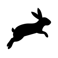 Jumping Rabbit: The Agile and Adorable Hopper