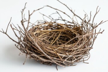 Empty Bird Nest, twigs, branches, nature, wildlife, habitat, empty, round, brown, small, isolated