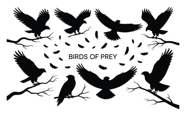 Black Silhouette Birds of Prey Flying Perched Branches Feathers White Background predator eagle