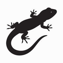 Salamander silhouette image Silhouette White background. 
