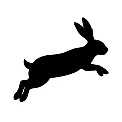 Jumping Rabbit: The Agile and Adorable Hopper