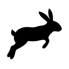 Jumping Rabbit: The Agile and Adorable Hopper