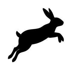 Jumping Rabbit: The Agile and Adorable Hopper
