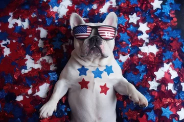 Poster Patriotic French Bulldog celebrating Fourth of July with American Flag sunglasses