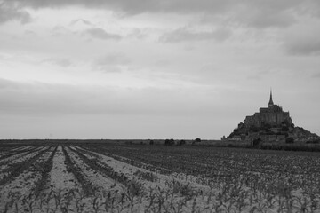 Farmland in the outskirts of the village of Mont Saint Michel on the French Atlantic coast