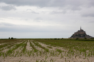 Farmland in the outskirts of the village of Mont Saint Michel on the French Atlantic coast