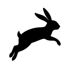 Jumping Rabbit: The Agile and Adorable Hopper