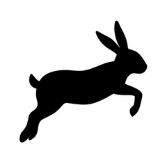 Jumping Rabbit: The Agile and Adorable Hopper