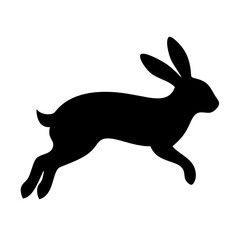 Jumping Rabbit: The Agile and Adorable Hopper