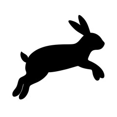 Jumping Rabbit: The Agile and Adorable Hopper
