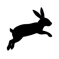 Jumping Rabbit: The Agile and Adorable Hopper