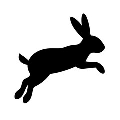 Jumping Rabbit: The Agile and Adorable Hopper