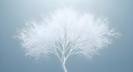 Bare tree with white frost covering branches symbolizing winter, cold season, and nature's resilience