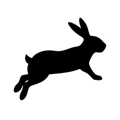 Jumping Rabbit: The Agile and Adorable Hopper