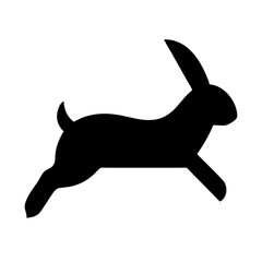 Jumping Rabbit: The Agile and Adorable Hopper