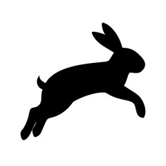 Jumping Rabbit: The Agile and Adorable Hopper