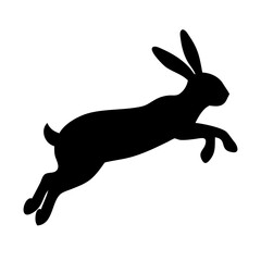 Jumping Rabbit: The Agile and Adorable Hopper