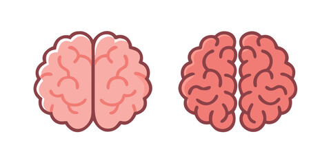 human brain isolated on white