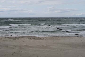 Wellen branden am Strand des Ostseebads Dierhagen an einem stürmischen Sommertag. Der Strand wird von Buhnen geschützt. Im Hintergrund sind Wolken über der Ostsee zu sehen.