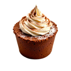 Dark Chocolate Cupcake with Swirled Vanilla Cream and Cocoa Powder