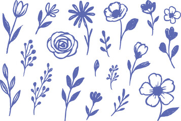 Contemporary Hand Drawn Wildflower Set – Minimal Botanical Vector Elements