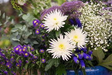 Miscellaneous flowers composition in a pot