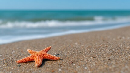 A single orange starfish rests on a sandy beach with gentle waves and a blue sky in the background.