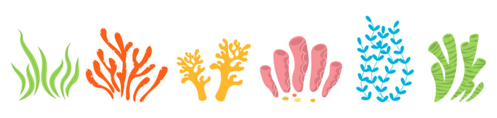 Set of cartoon corals and algae underwater elements. Ocean colorful plants. Laminaria, racy marine, anemones, corals and seaweed, marine kelp, aquarium plants vector illustration isolated on white.