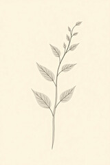 Minimal Botanical Line Art of Elegant Leafy Plant on Soft Beige Background