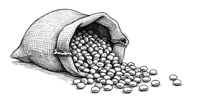 sack of soybeans hand drawn sketch - doodle black and white illustration SVG.
