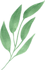 Watercolor Green Leaves Isolated Element. Botanical Leaf Greenery for Wedding Invitation, Save the Date, Thank You, or Spring Greeting Card