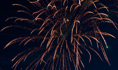 Shot of the fireworks in the night sky. Celebration