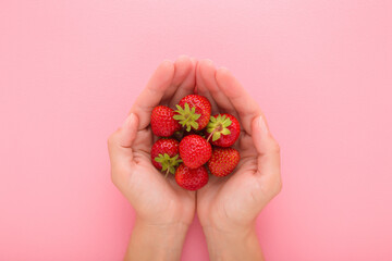 Young adult woman opened palms holding and showing red bright strawberries on light pink table...