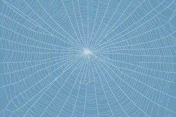 Obraz premium Intricate Spiderweb Design: Nature's Architecture, Silk Threads, Web Pattern, Insect Trap, Orb Weaver, Garden, Wildlife, Spider, Arachnid, Prey