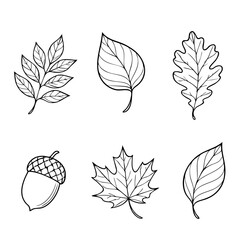 Bl&auml;tter Herbstbl&auml;tter Ausmalbilder 