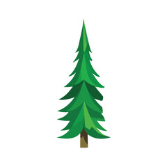 christmas tree isolated on white