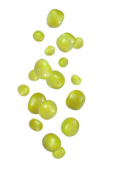 Levitation of canned green peas isolated on on transparent background, real photo for food design.