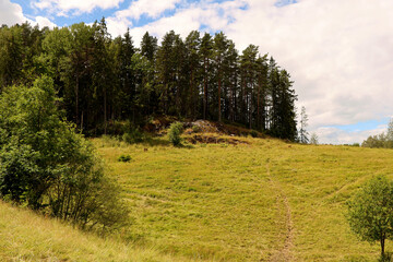 Landscape