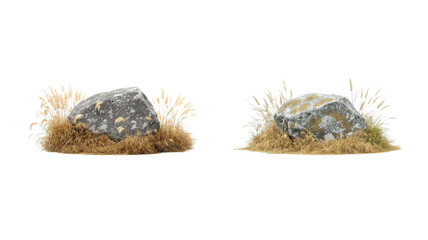 dry stones and grass png