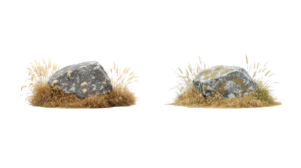 dry stones and grass png