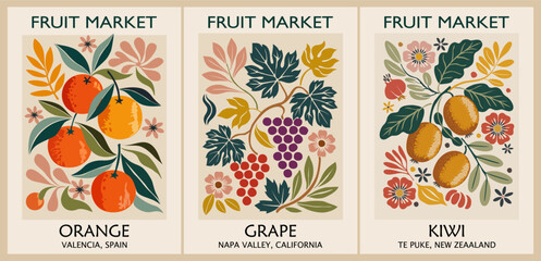 Set of retro Fruit Market posters in Mid Century Modern style featuring kiwi from Te Puke, oranges from Valencia, and grapes from Napa Valley. Vintage colorful wall art designs