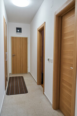 Modern interior hallway with wooden doors and minimalist design
