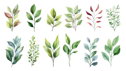 watercolor tropical leaves and branches on white background